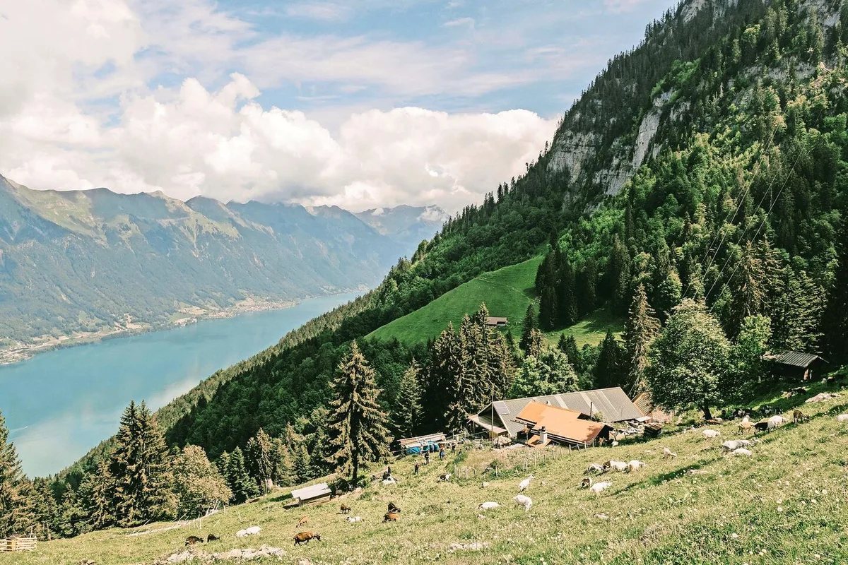 82e60440149f729be452c25d3f42624c36ba517b99767eb6a7b9c37ee8a11ac7 Auf den Alpen fehlt es an Wasser, während das Schmelzwasser die Seen füllt. Der ausbleibende Regen bringt die Alpwirtschaft unter Druck und zwingt zum Handeln.