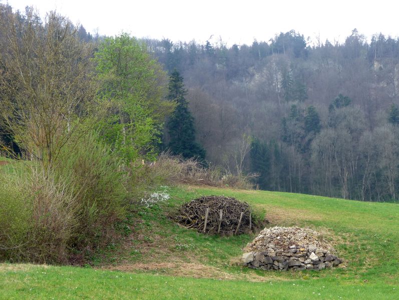 Hecken lassen sich durch Stein- und Asthaufen aufwerten. (Bild biodivers.ch)
