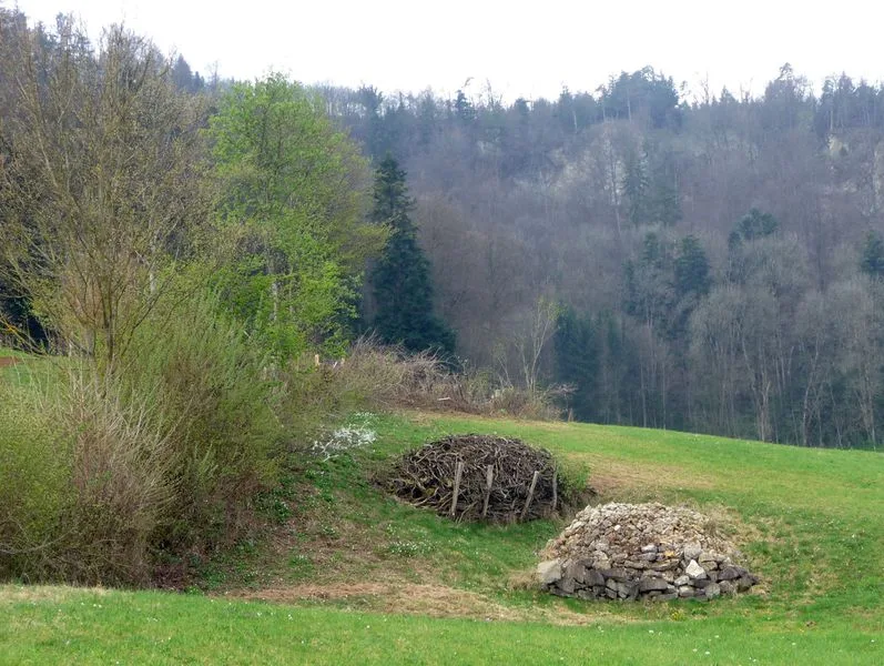 5c1a34cc6fb046ed05ee25b13792900c67dfeb6b Hecken lassen sich durch Stein- und Asthaufen aufwerten. (Bild biodivers.ch)