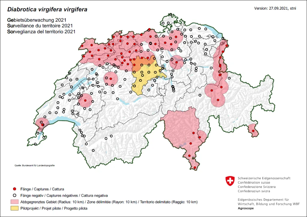 2020-karte-diabrotica-ch Die Fruchtfolge wird in 16 Kantonen eingeschränkt