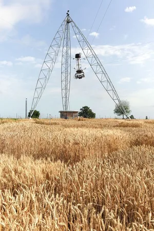Die Gruppe Kulturpflanzenwissenschaften entwickelt mit der Seilkamera-Anlage Bildverarbeitungsmethoden für den zukünftigen Einsatz auf Feldrobotern.