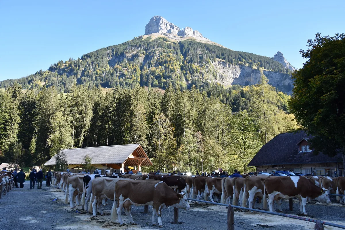 0fb8215c7b06bcc2900a3604552e20dd6f26623e Der schöngelegene Schauplatz im Kemmeriboden-Bad. Im Hintergrund der Schybegütsch.