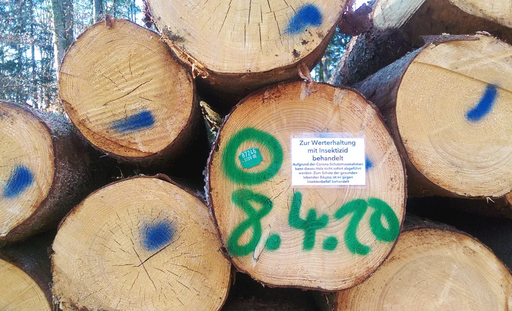 c1f78bea01a22301352f081272e24712430a40ed Zwar ist eine Insektizid-Behandlung von Holz im Wald eine absolute Ausnahme, man könnte deren Anzahl aber noch reduzieren, (Bild Vera Grubenmann)