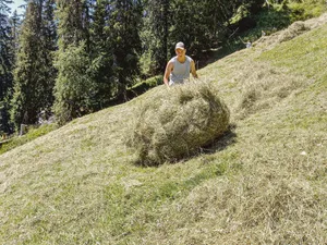 Tim Zaugg macht sein drittes Lehrjahr auf dem Betrieb von Felix und Esther Zaugg in Schwendibach BE. (Bild zVg)
