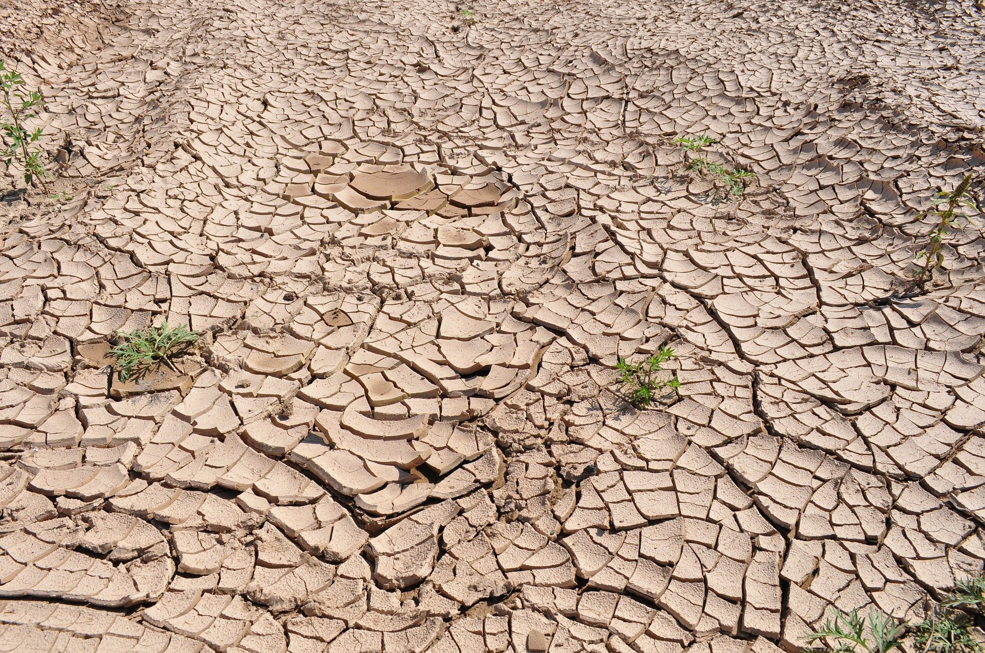 Weltwetterorganisation: 2021 war eines der sieben wärmsten Jahre
