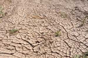 2021 war unter anderem geprägt von Dürren in Afrika und Südamerika.
