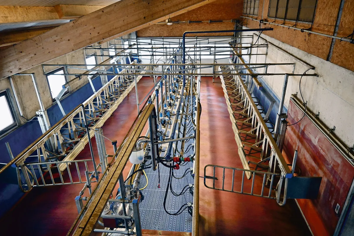 3284ec069719ac8a28e1069b150b9309e1aa94cd B-Milch erhält für die Produzenten ab Juli einen etwas besseren Preis und voraussichtlich mehr Verbindlichkeit bei der Ankündigung der Menge im Vormonat.(Bild jba)