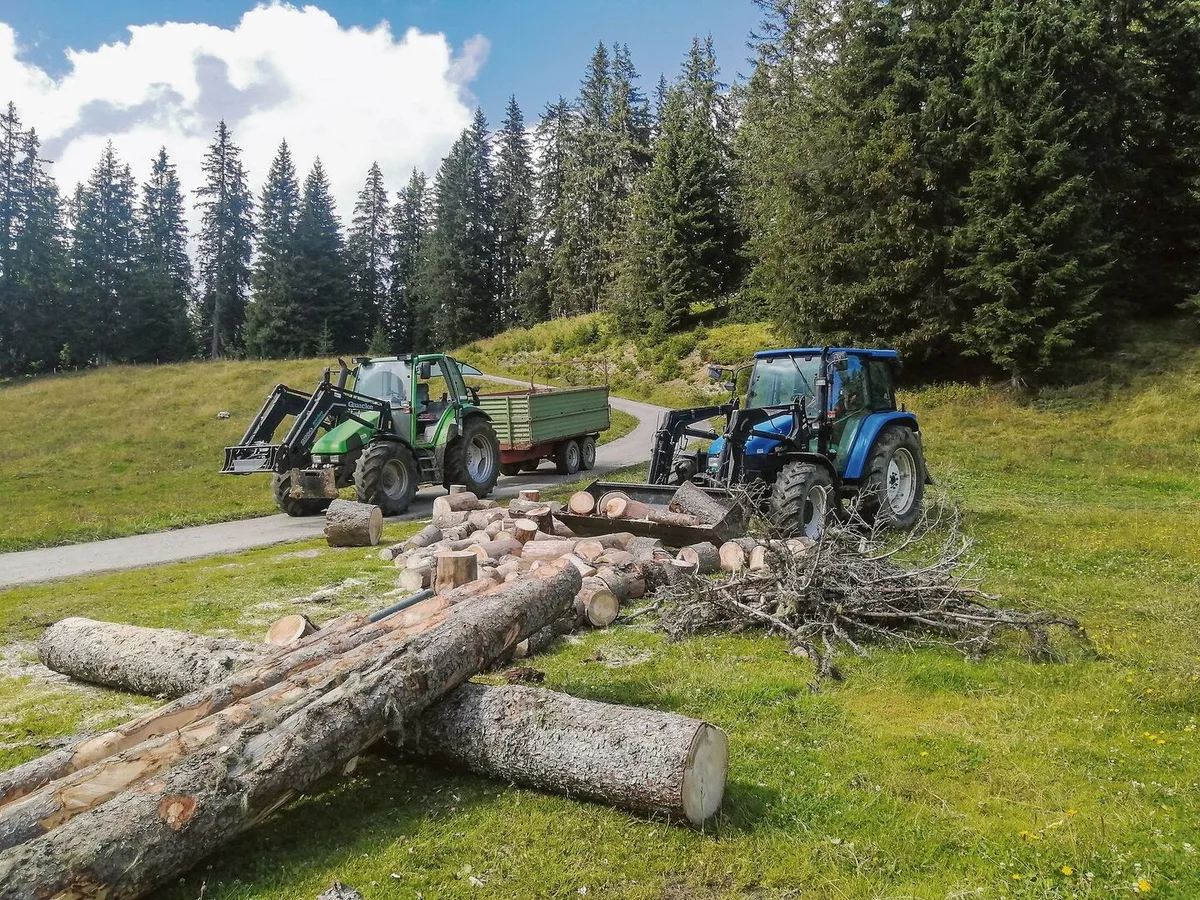 ae30fb091b60b4ed53fe66cc3891e30f6bc1dbcdbafac4d2b3998607ec59095d Marina lädt die Holztremmel auf den Anhänger und Toni führt das Holz zur Hütte.
