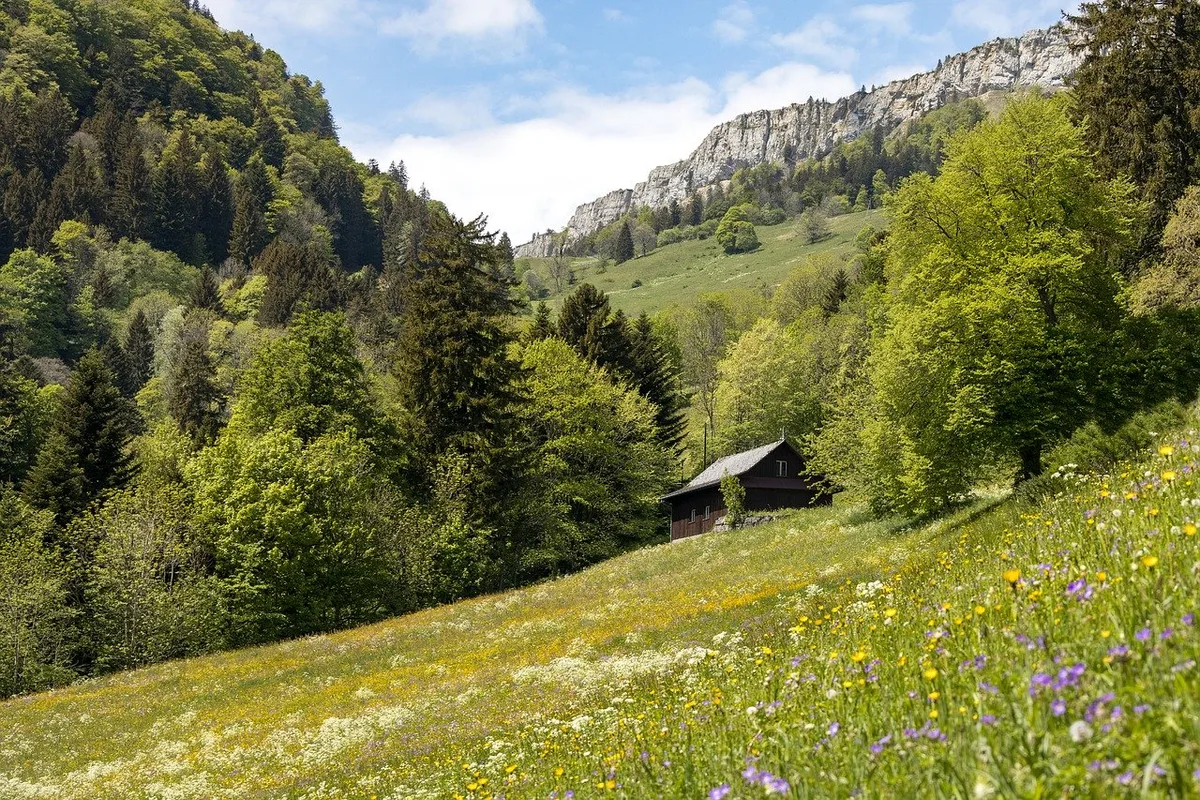 0bb627df2671951be10de9e7f06deecf0359c47c Aus Sicht des SBV ist das neue Jagdgesetz wichtig für die ganze Schweizer Landwirtschaft und keinesfalls ein «Abschussgesetz». (Bild Pixabay)