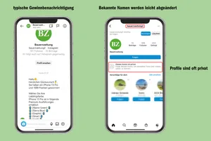Hier sehen Sie die wichtigsten Hinweise auf einen Betrugsversuch: ein attraktives Versprechen von einem privaten Profil mit leicht abgeändertem Namen.