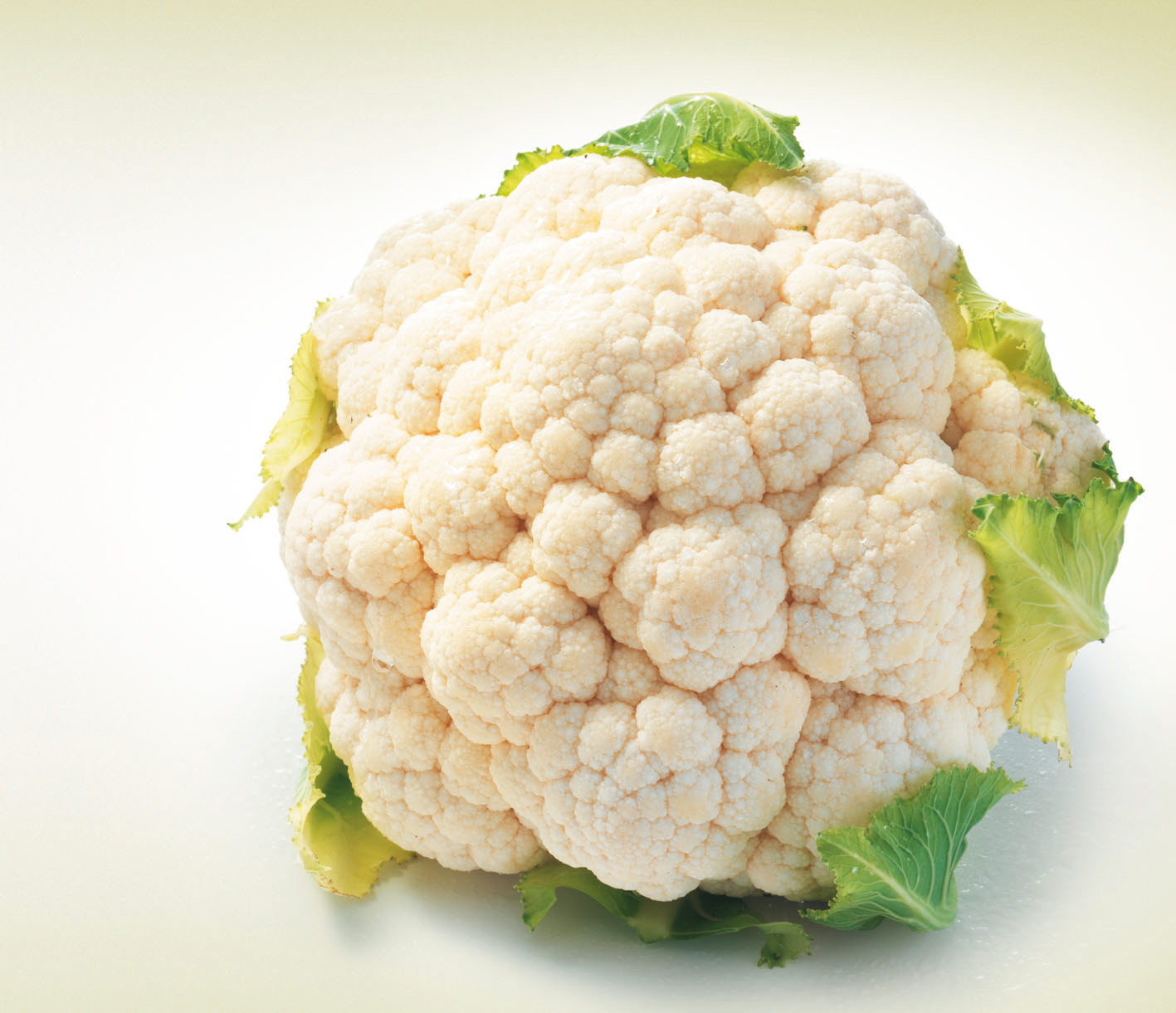 Blumenkohl ist reich am Immunsystem stärkenden Vitamin C. Nebst Kalium und Folsäure enthält er zudem viel Kalzium. (Bild: VSGP)