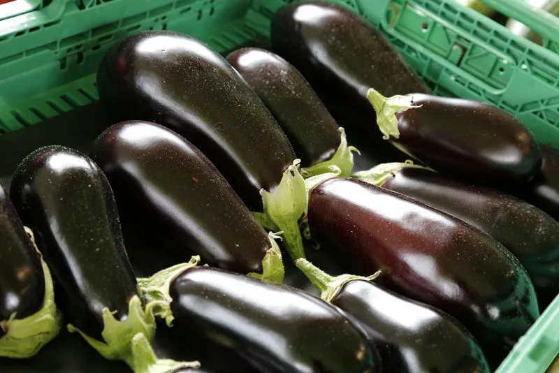 d007d90918f19758841fdcd0d51b79c1c2cc7a65 Der Eigengeschmack der Aubergine ist ein wenig bitter – indem man sie aber in Scheiben oder Streifen schneidet und mit Salz bestreut, werden der Aubergine Bitterstoffe und auch Wasser entzogen und sie nimmt dann den Geschmack von Gewürzen und Saucen wunderbar an. (Bild lid/ji)