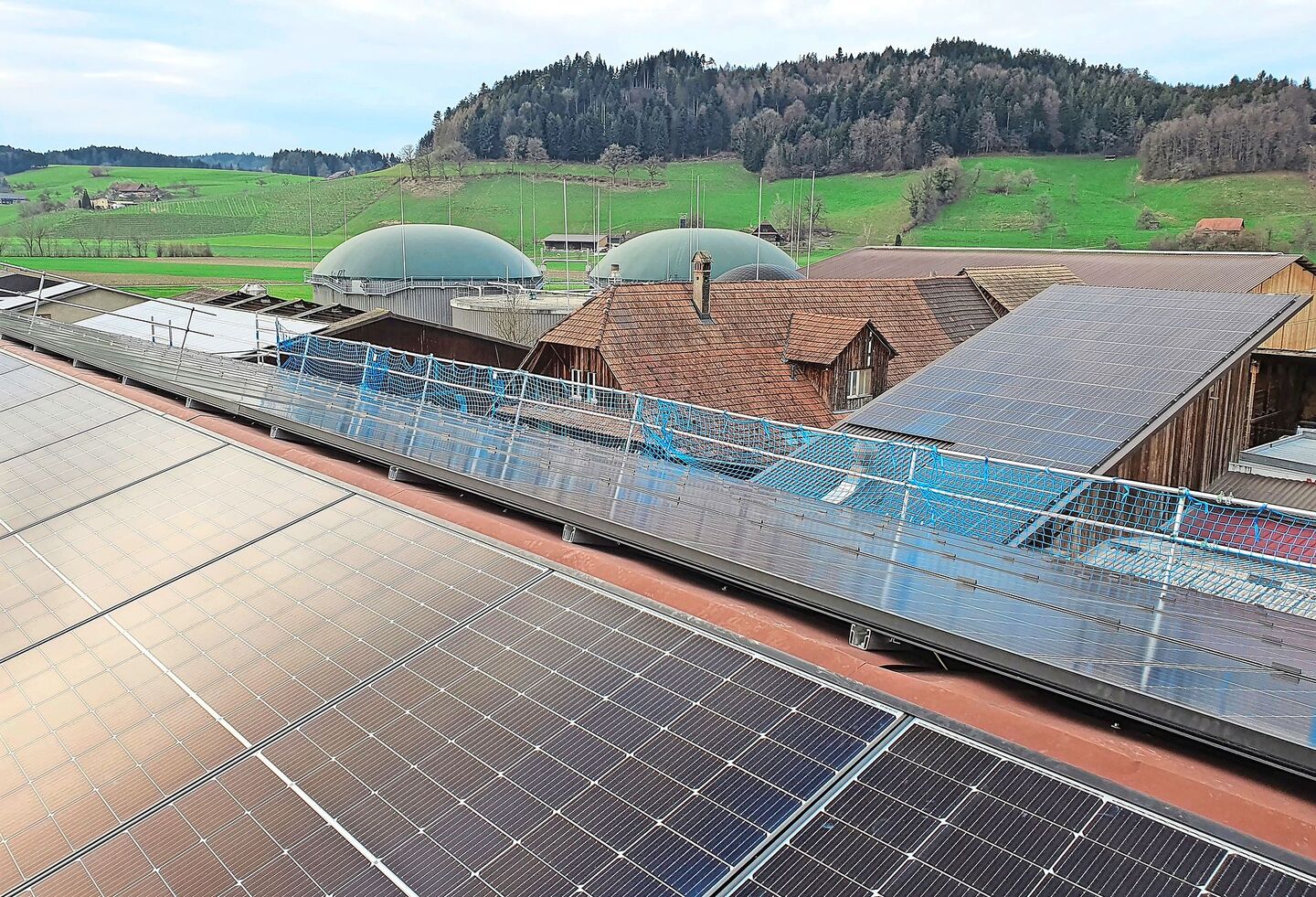 Viel Solarstrom produzieren die Module auf den Dächern des Wiggerhofs. Im Hintergrund die grosse Biogasanlage.