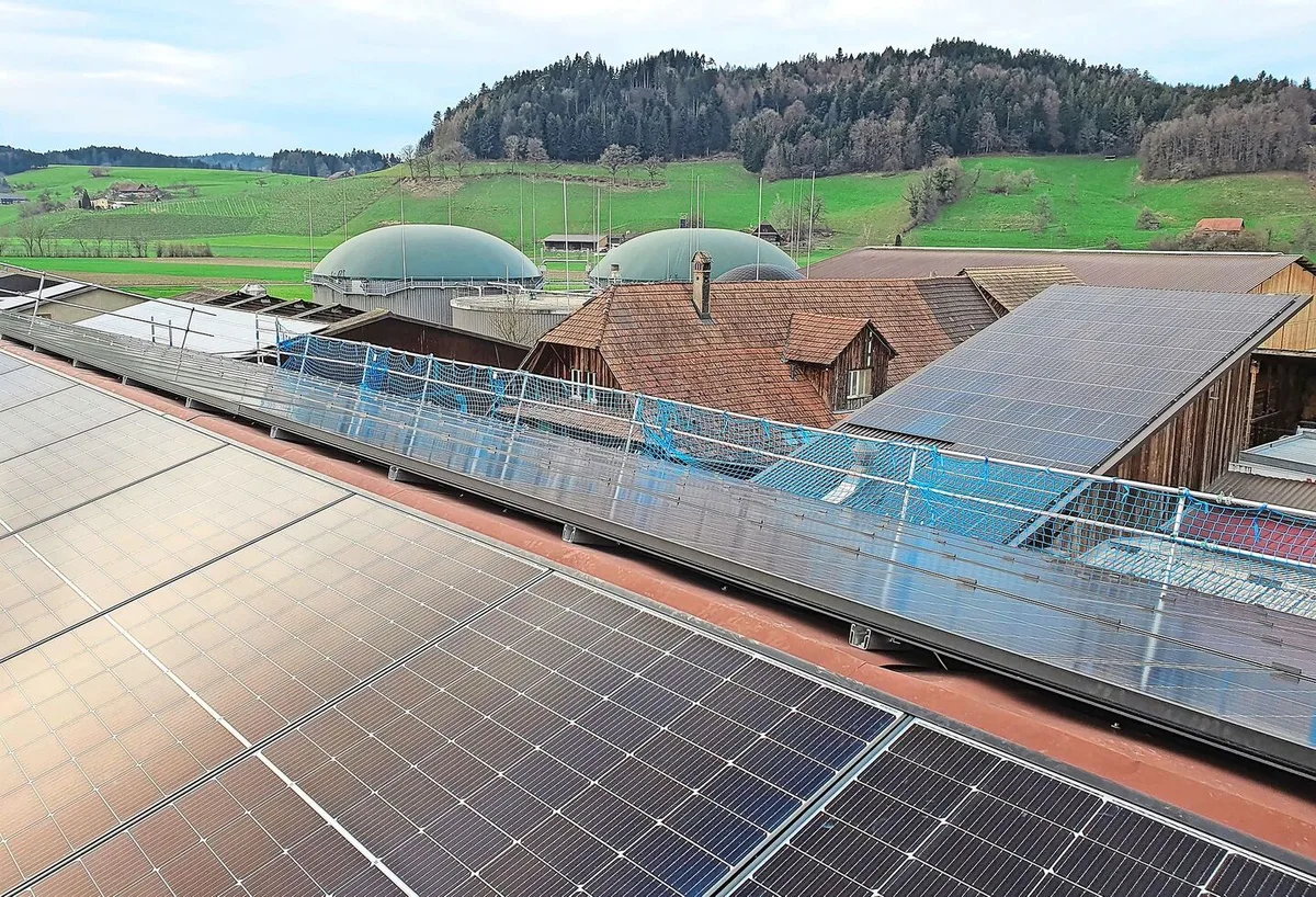 194d6e996ecbcb223863b21652d97782005f2c67c8eb1d6dbca954bdef2b1bb7 Viel Solarstrom produzieren die Module auf den Dächern des Wiggerhofs. Im Hintergrund die grosse Biogasanlage.