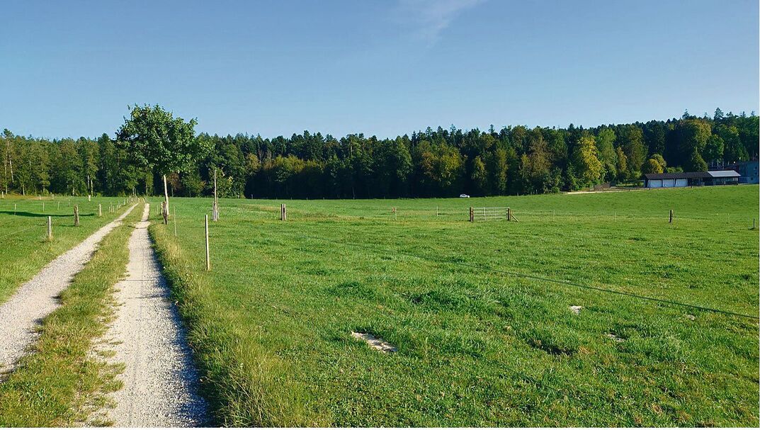 Wenn die Platten-Herbometer-Messungen ein negatives Wachstum ergeben