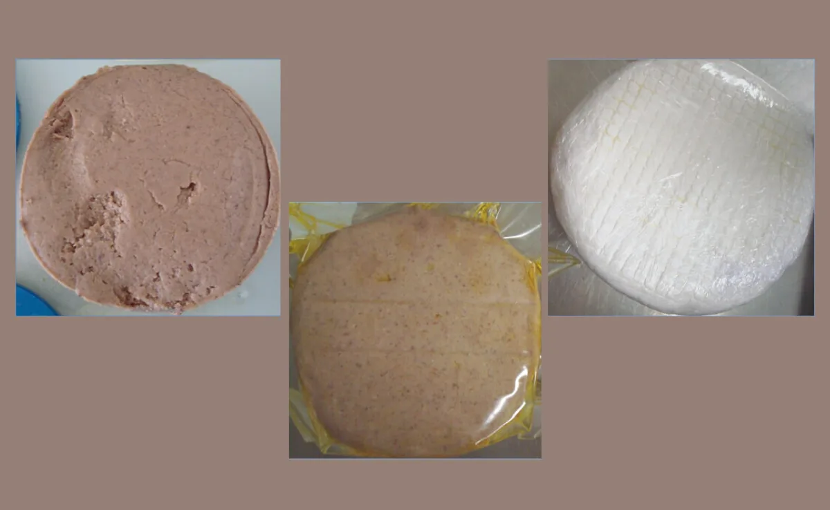 agroscope_vegan Wie Käse-ähnliche Produkte aus Schweizer Zutaten funktionieren könnten