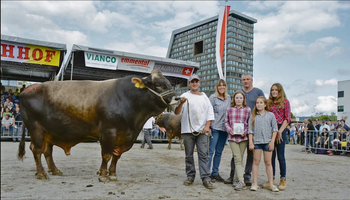 81283158290b436f9a96bacbd551517afab8501d Im Jahr 2017 wurde der damals siebenjährige Glenn Marc von Josef Kiser aus Ennetmoos NW zum Mister ZM Zug beim Braunvieh gekürt.(Bild Andrea Gysin)