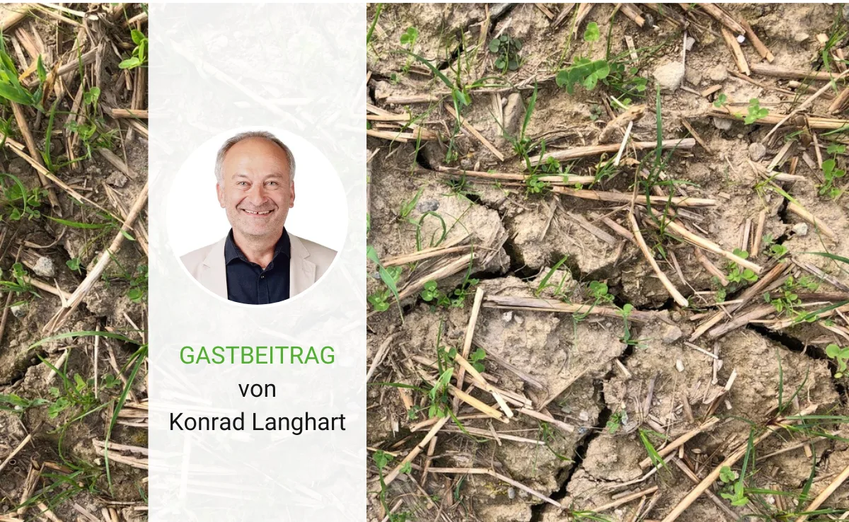 Artikel_Gastbeitrag_BauZ_LanghartKlimawandel Mit den richtigen Sorten auf die Zukunft setzen