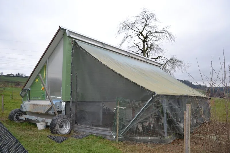 mobilstall_zu Bauern und Freilandhühner haben sich mit den Vogelgrippe-Massnahmen arrangiert