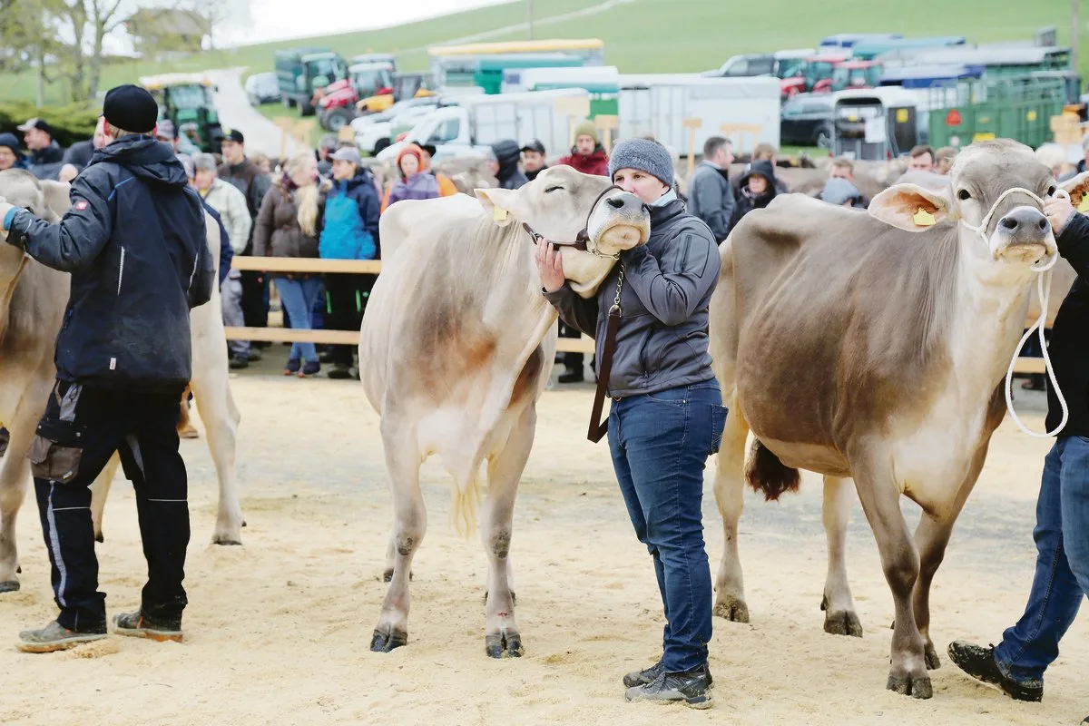 90096b05d47ff5c3a453eb8f4d93b048eb741faa Kuschelkuh Julischka und meine Wenigkeit beim Line-Up in Riffenmatt. (Bild Rolf Schumacher)