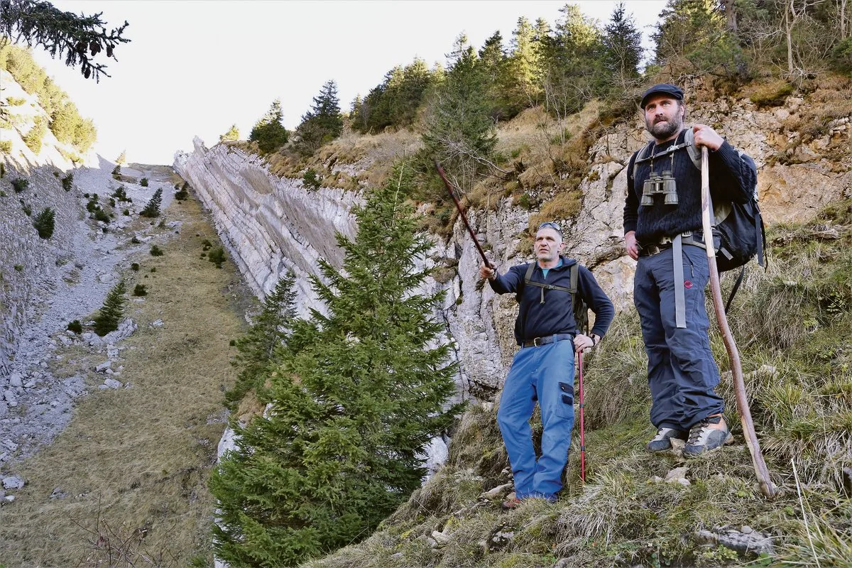 8a93fb3de7ea0e35998f72c4abacf34749c1b7d1 Augenschein vor Ort im steilen Gelände: Alpmeister Roland Käppeli (l.) weist Herdenschutzberater Bruno Zähner auf einen Wildwechsel hin. (Bilder Reto Betschart)