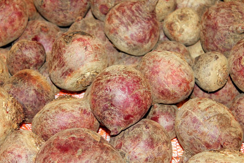 Randen können in der Schweiz das ganze Jahr über aus heimischer Produktion gekauft werden. (Bild pd)