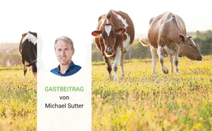 Wieviel Futter steht auf welcher Fläche zur Verfügung? Wann ist der beste Zeitpunkt, eine Wiese zu beweiden?