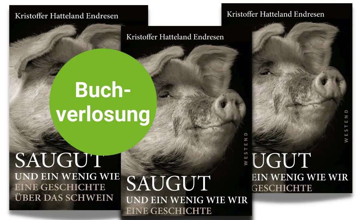 Verlosungen_DG «Eine saugute Geschichte»: Spannendes Buch mit Fakten und Erzählungen
