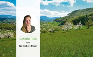 Die Idylle täuscht: Prächtige Hochstammlandschaft in St. Pantaleon im Kanton Solothurn.
