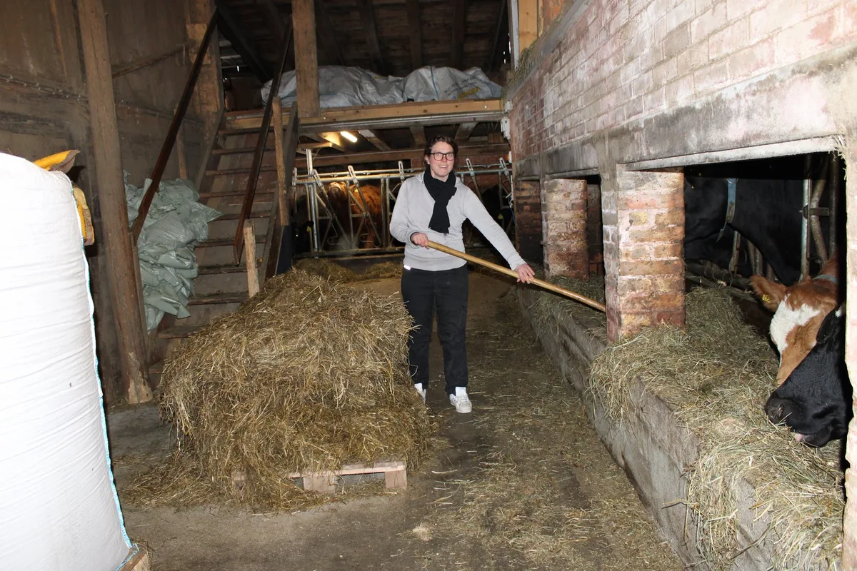 Im-Stall Früher reiste Landwirtin Gisela Schlüchter gern: «Heute bekomme ich Heimweh nach meinen Damen»