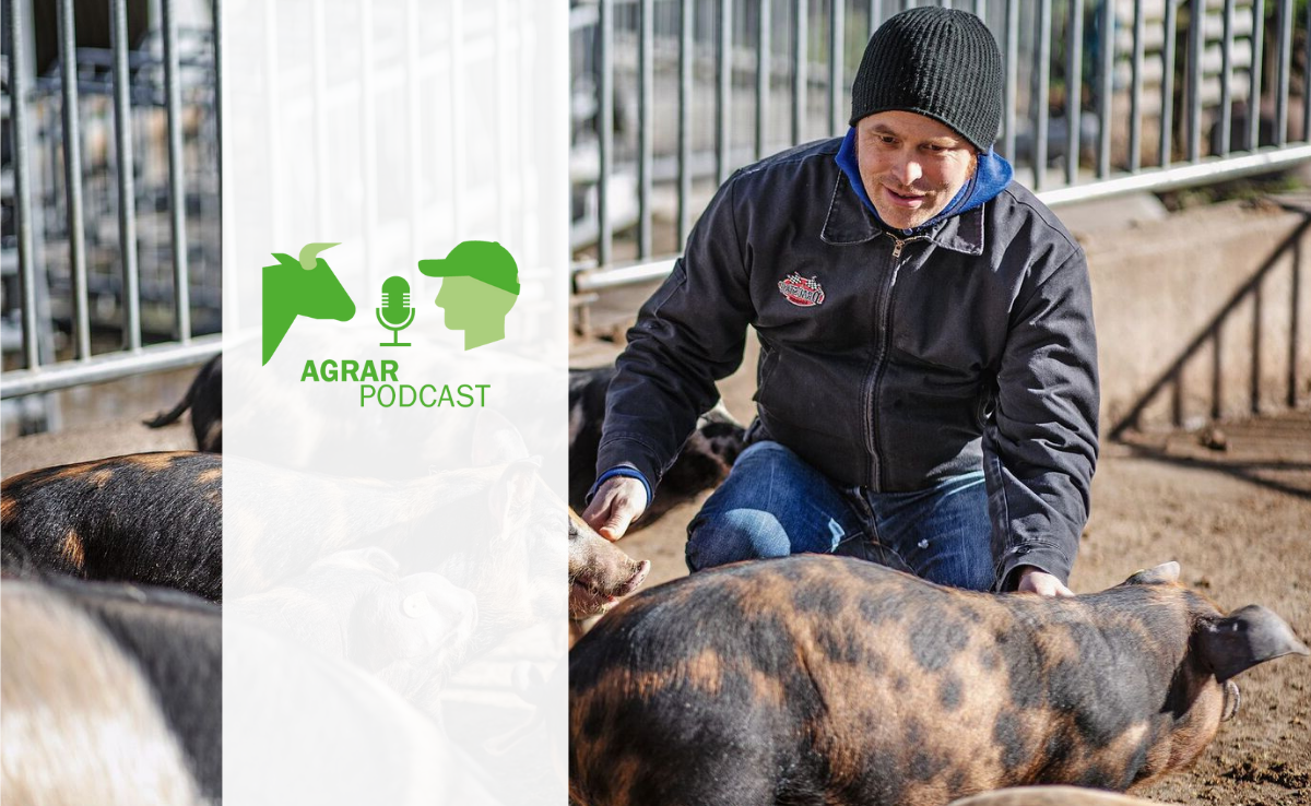 Ein Chatbot namens Albert, Bunte Distelschweine und der Weg der Antibiotika-Reduktion – das ist die 17. Episode