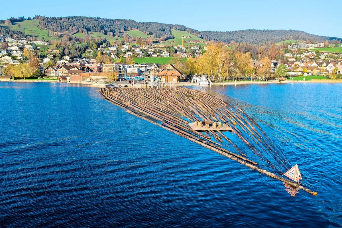Ankunft des Floss aus den vielen Stämmen, mit einem Rahmen zusammengehalten, im Ägeriseee.