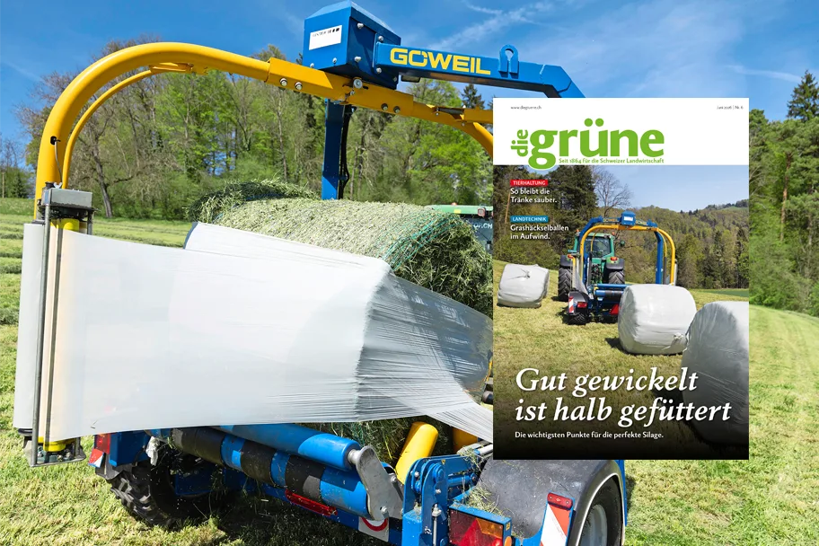 DG_26_06_3zu2_Titelbild «die grüne» im Juni 2026 – Gut gewickelt ist halb gefüttert