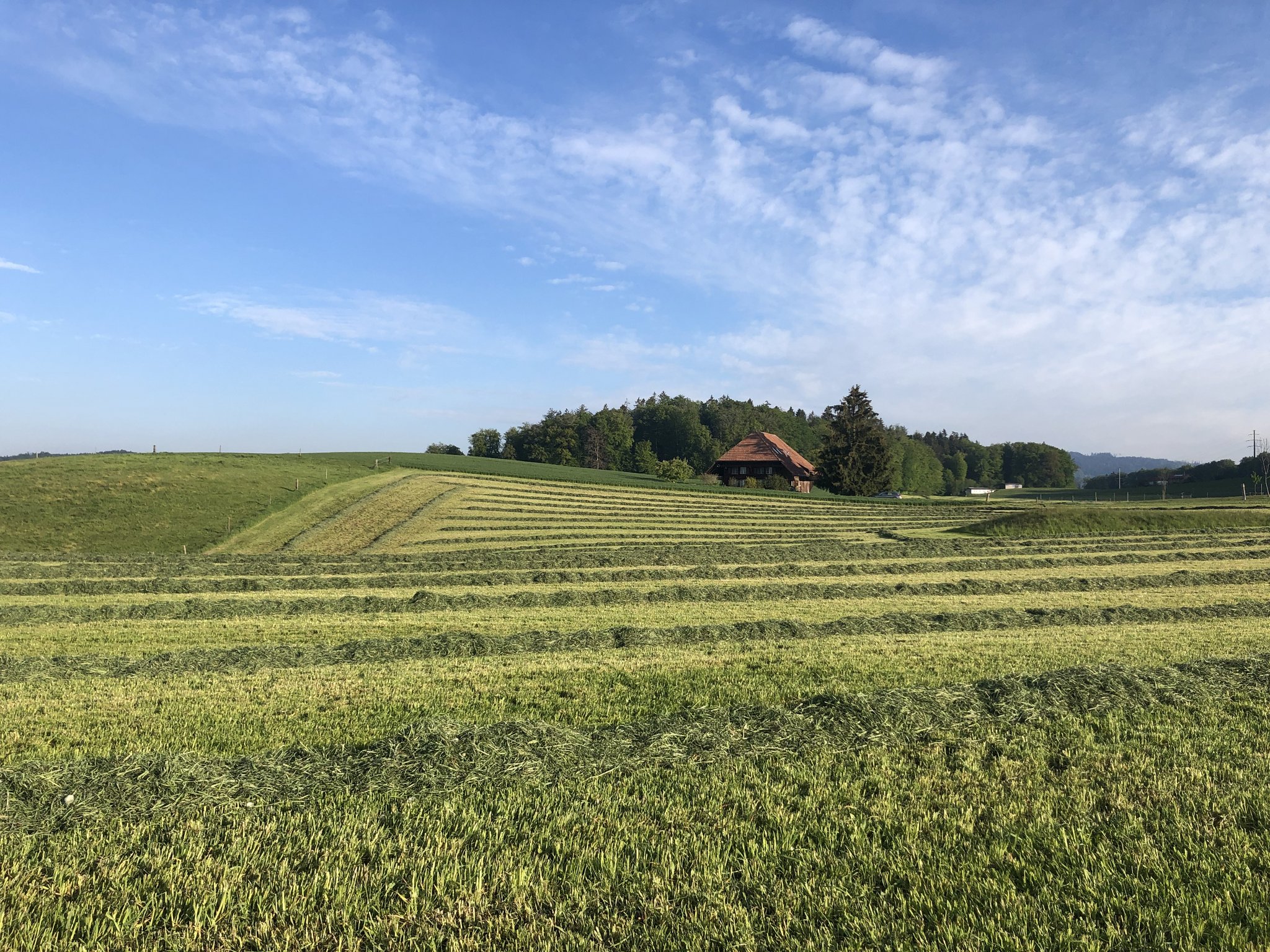 Landwirtschaftliche Strukturerhebung: Mehr Bio-Zuckerrüben, weniger Getreide