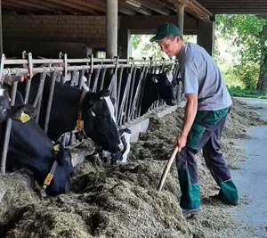 Hilft vielfältig in Notlagen: Ein Betriebshelfer im Einsatz.