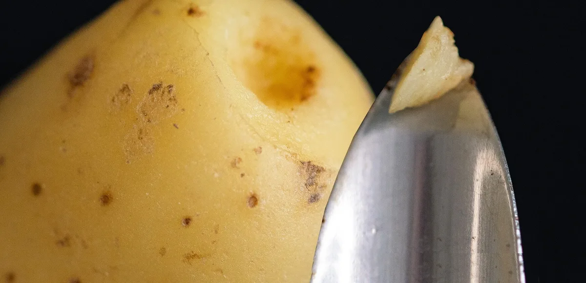 kartoffelkrankheiten-agroscope Mehr Testkapazitäten für Kartoffel-Krankheiten