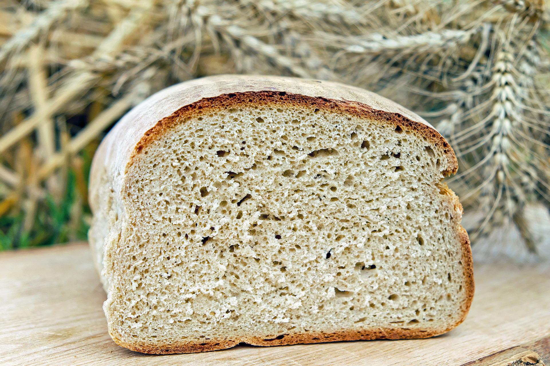 IG Bauern Unternehmen fordert eine deutliche Erhöhung des Brotgetreidepreises