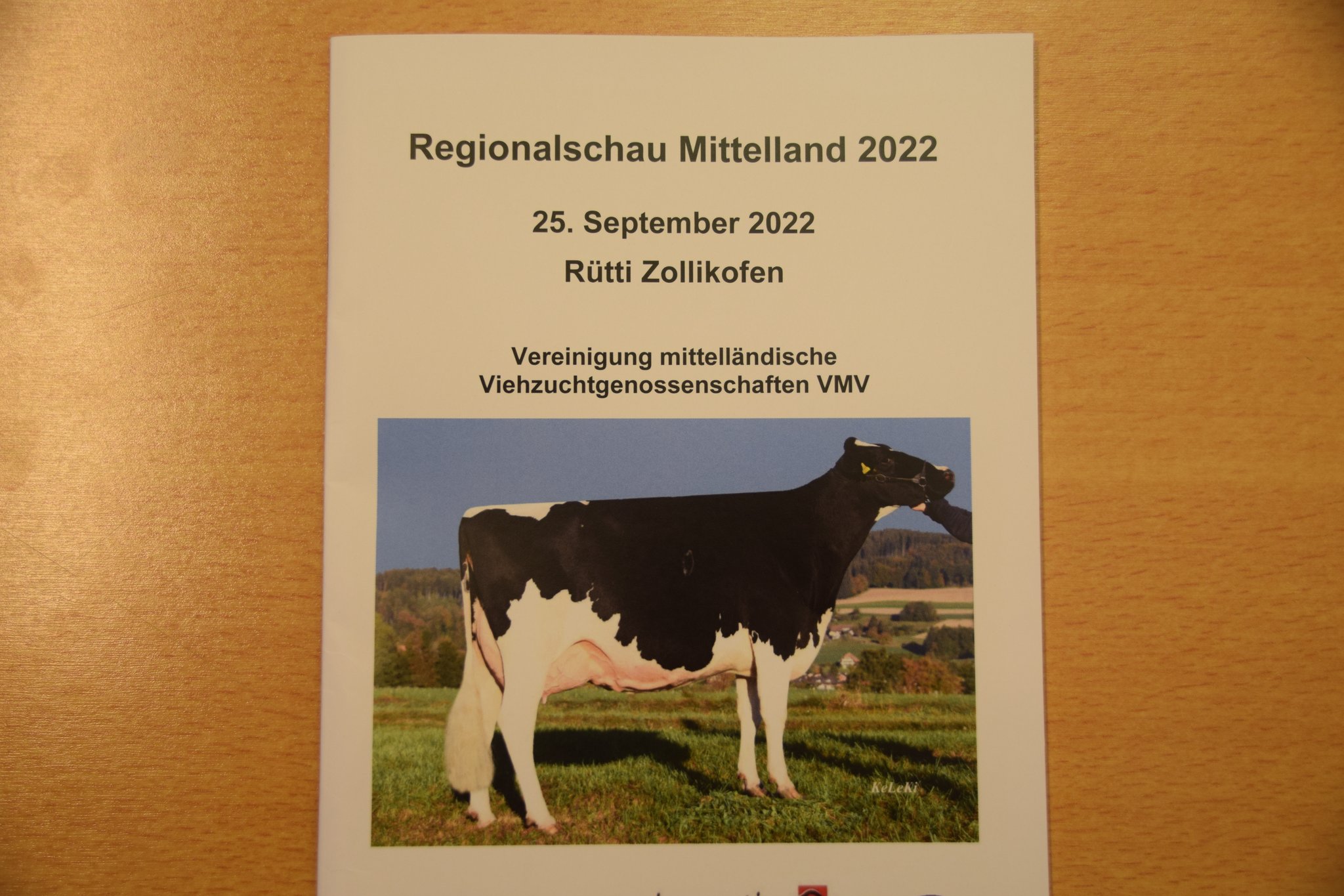 Die schönsten Kühe aus dem Berner Mittelland