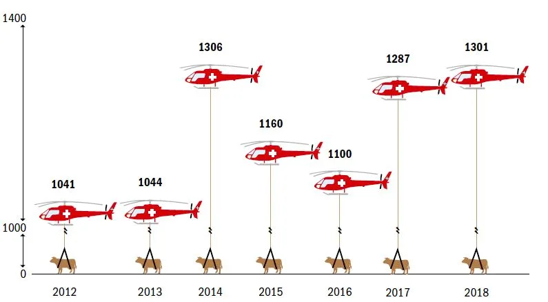 144b2f520f01b56fe4a74e80156113a2 Rund 1100mal pro Jahr kommt in der Schweiz zu einem Helikoptereinsatz, um verletztes oder totes Rindvieh zu bergen. (Grafik BauZ/Daten Rega)