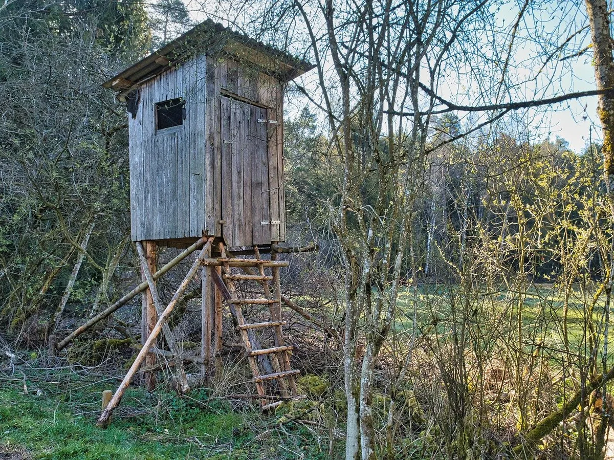 Hochstand_manfred_zimmer Umweltverbände stellen klar: Wolfsabschüsse weiterhin nur bei grossen Schäden