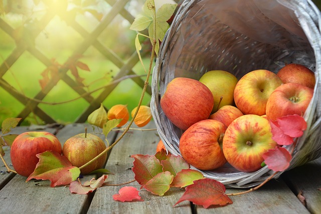 137 180 Tonnen Mostäpfel gingen diese Saison in die Mostereien. (Bild pixabay)