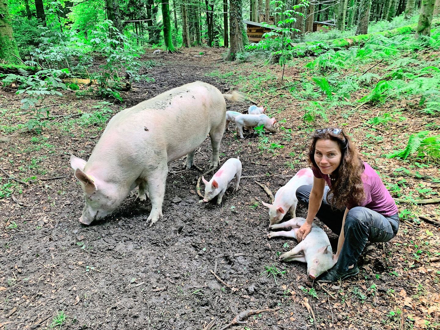 Ursula Küchler im Gehege im Wald mit den Schweinen, deren natürliches Verhalten erforscht wird.
