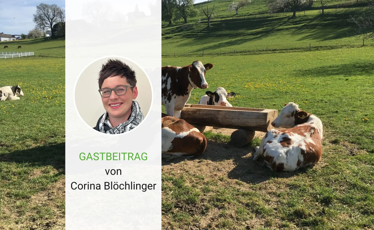 Artikel_Gastbeitrag_BauZ_Bloechlinger Ein Ja zum Klimaschutzgesetz - für unsere Glaubwürdigkeit