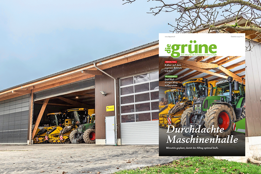 «die grüne» im Dezember 2024 – Die Maschinenhalle minutiös geplant