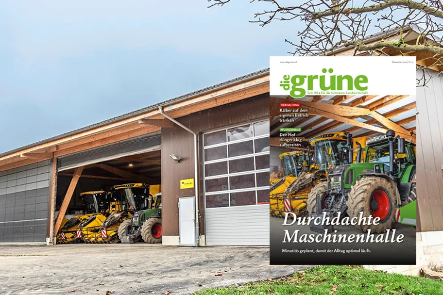 «die grüne» im Dezember 2024 – Die Maschinenhalle minutiös geplant
