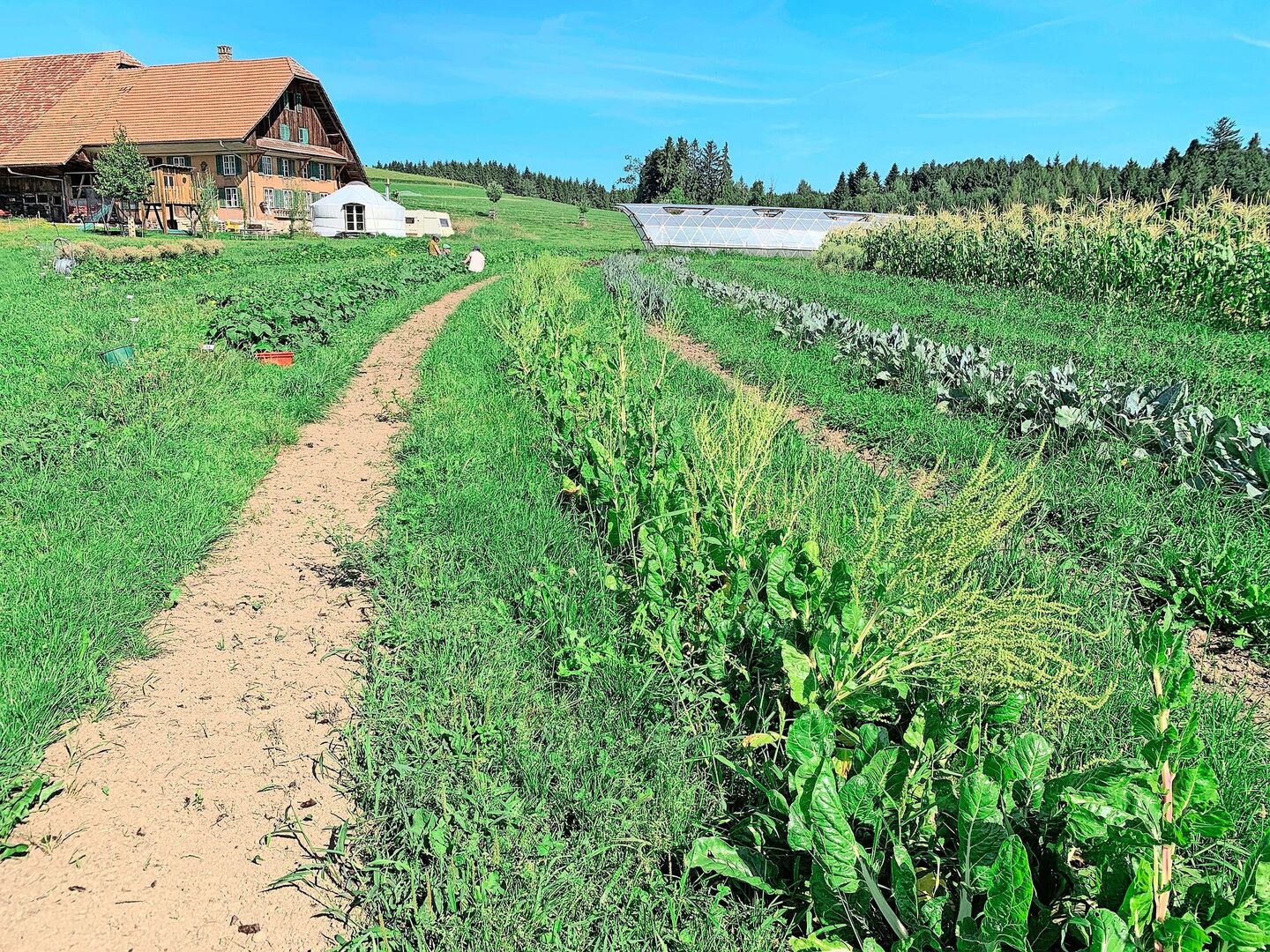 Auf dem Katzhof in Richenthal wurde die Kulturlandschaft neu gestaltet, um das Wasser zu lenken und optimal zu nutzen.