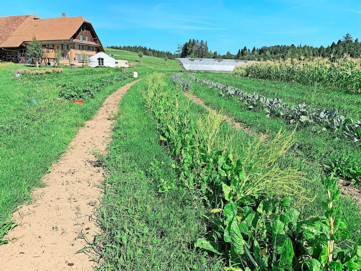 Auf dem Katzhof in Richenthal wurde die Kulturlandschaft neu gestaltet, um das Wasser zu lenken und optimal zu nutzen.
