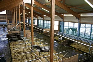 Vor allem die Tränken und die Entmistung können in Aussenklimaställen während längeren Kälteperioden ein Problem darstellen. (Bild: BauZ)