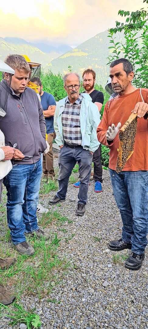 Bienen und Bauern brauchen sich gegenseitig