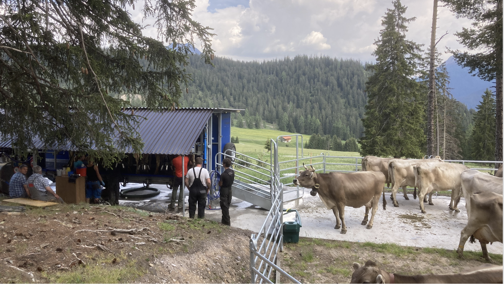 Ausflug zum mobilen Melkstand